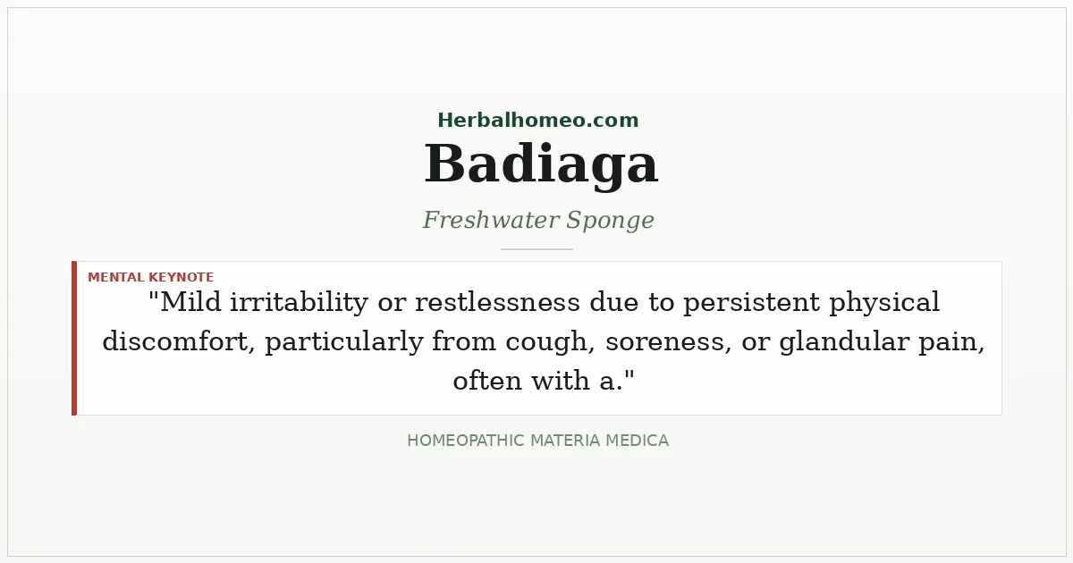 Badiaga (Freshwater Sponge)