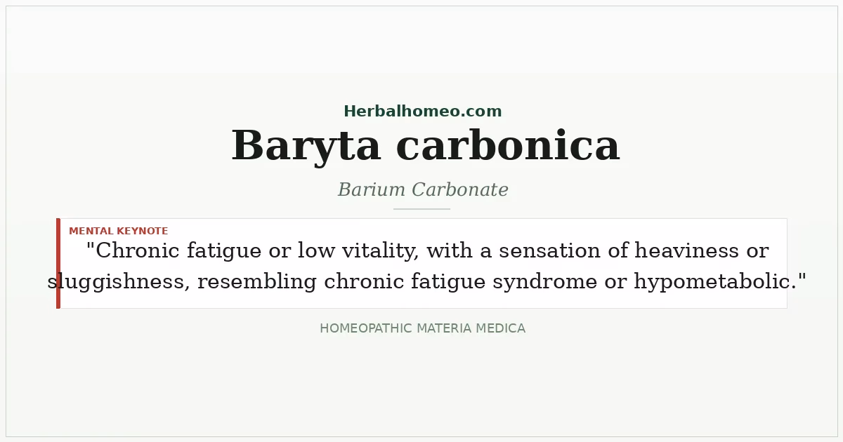 Baryta carbonica (Barium Carbonate)