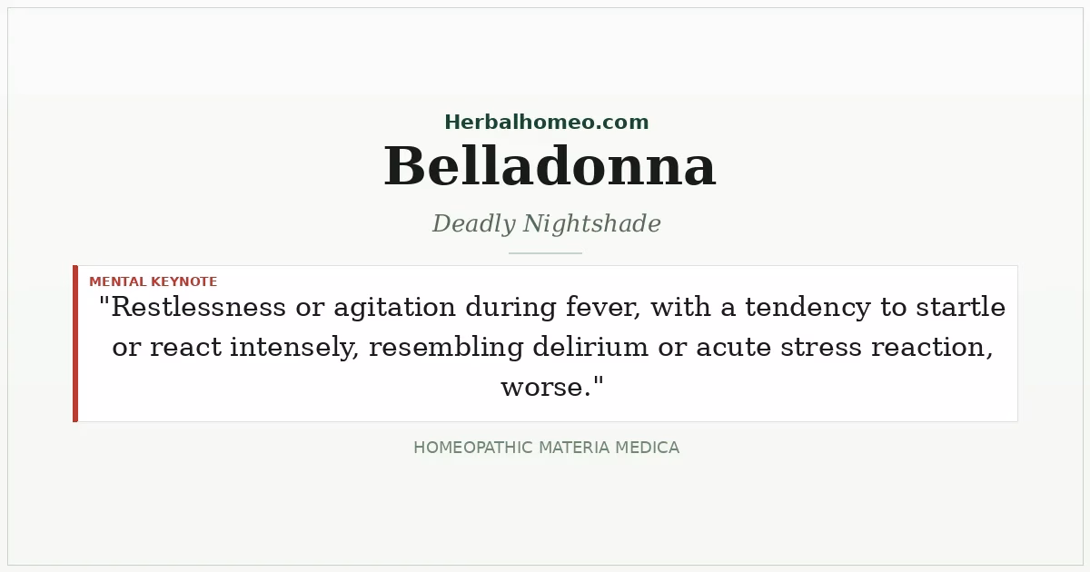 Belladonna (Deadly Nightshade)