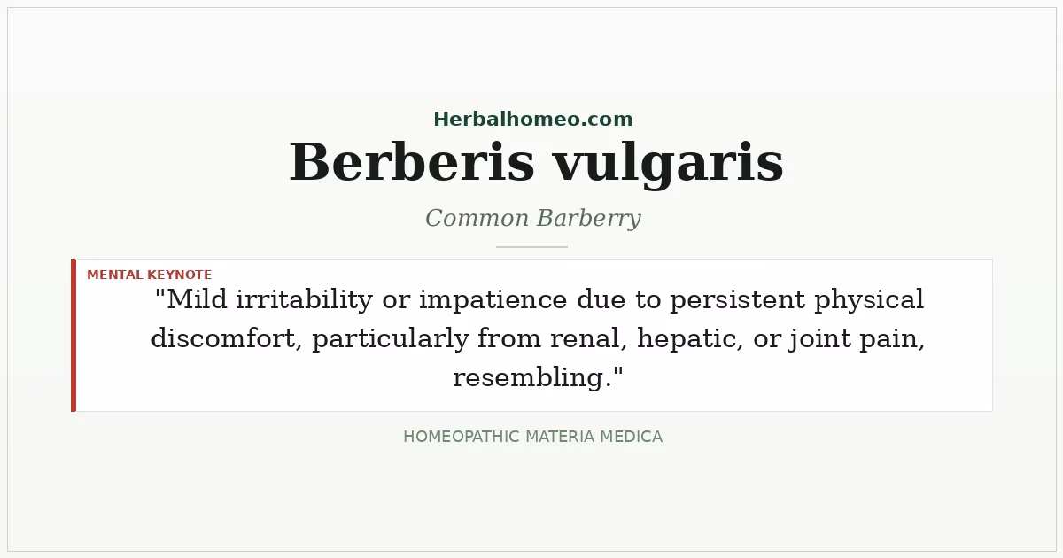 Berberis vulgaris (Common Barberry)
