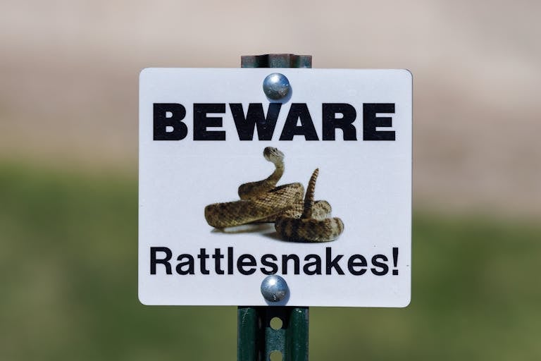 Beware of rattlesnakes sign posted in a grassy area, cautioning travelers.