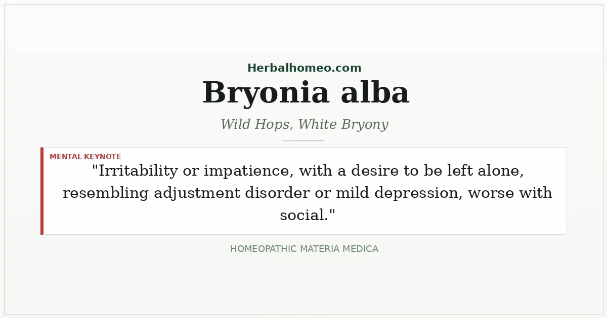 Bryonia alba (Wild Hops, White Bryony)