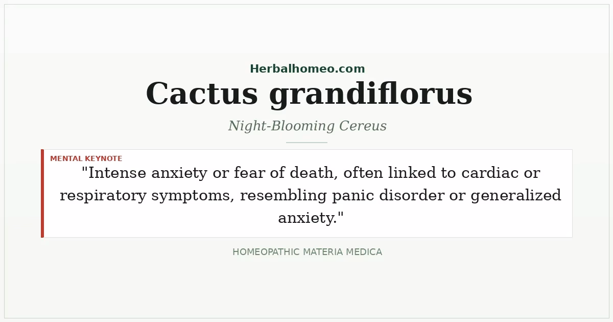 Cactus grandiflorus (Night-Blooming Cereus)
