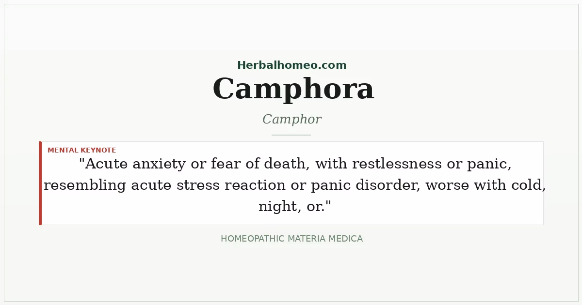 Camphora (Camphor)
