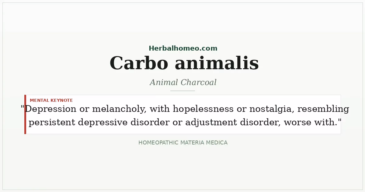 Carbo animalis (Animal Charcoal)