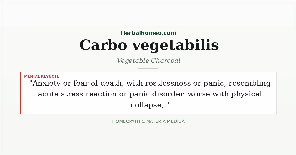 Carbo vegetabilis (Vegetable Charcoal)
