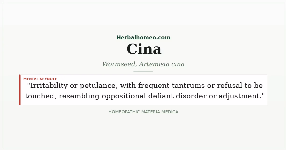 Cina (Wormseed, Artemisia cina)