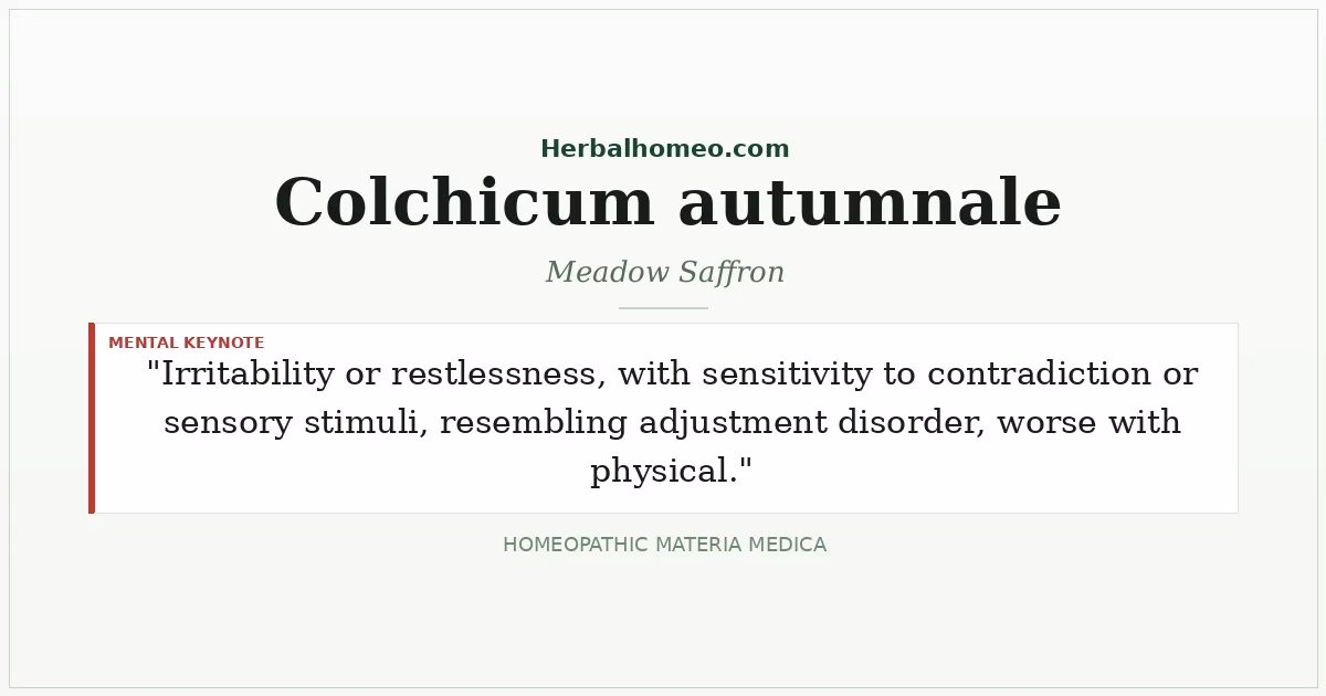 Colchicum autumnale (Meadow Saffron)