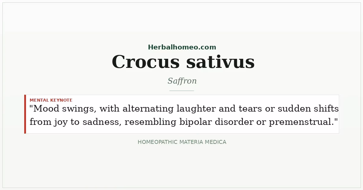 Crocus sativus (Saffron)