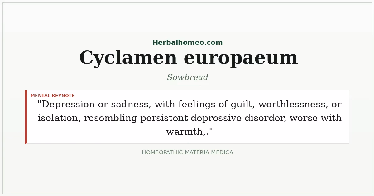 Cyclamen europaeum (Sowbread)