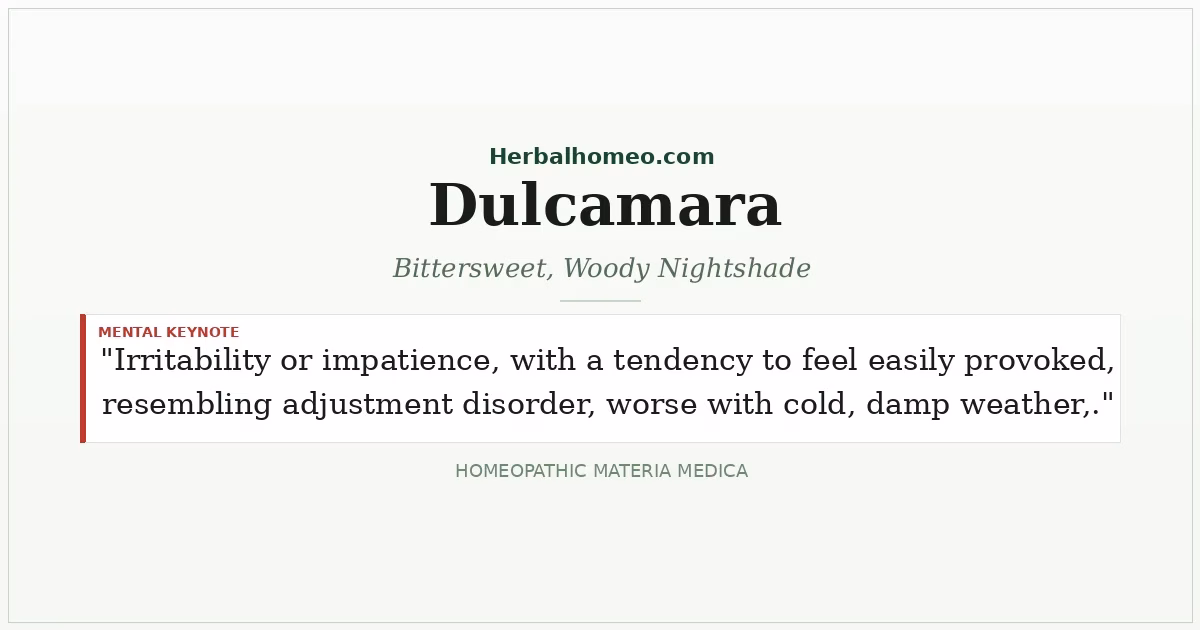 Dulcamara (Bittersweet, Woody Nightshade)