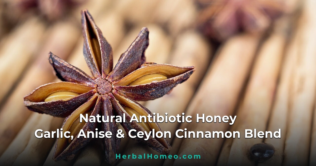 DIY Natural Antibiotic Honey for Cough and Sore Throat: Garlic, Anise, and Ceylon Cinnamon Blend