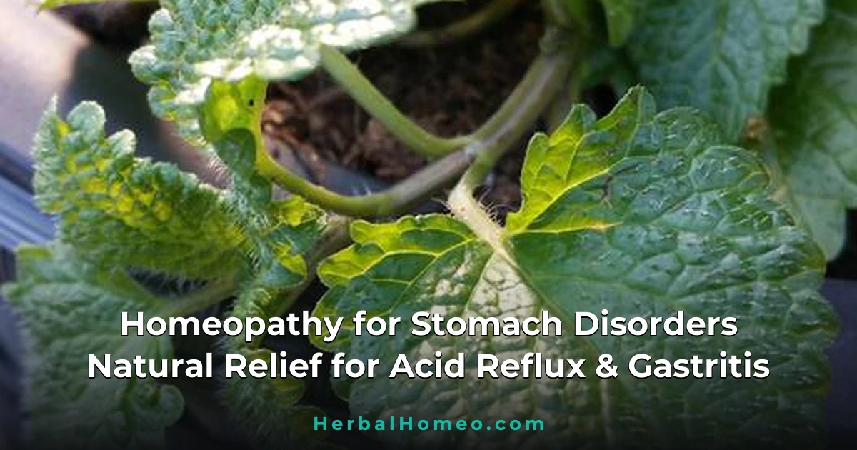 Homeopathy for Stomach Disorders
