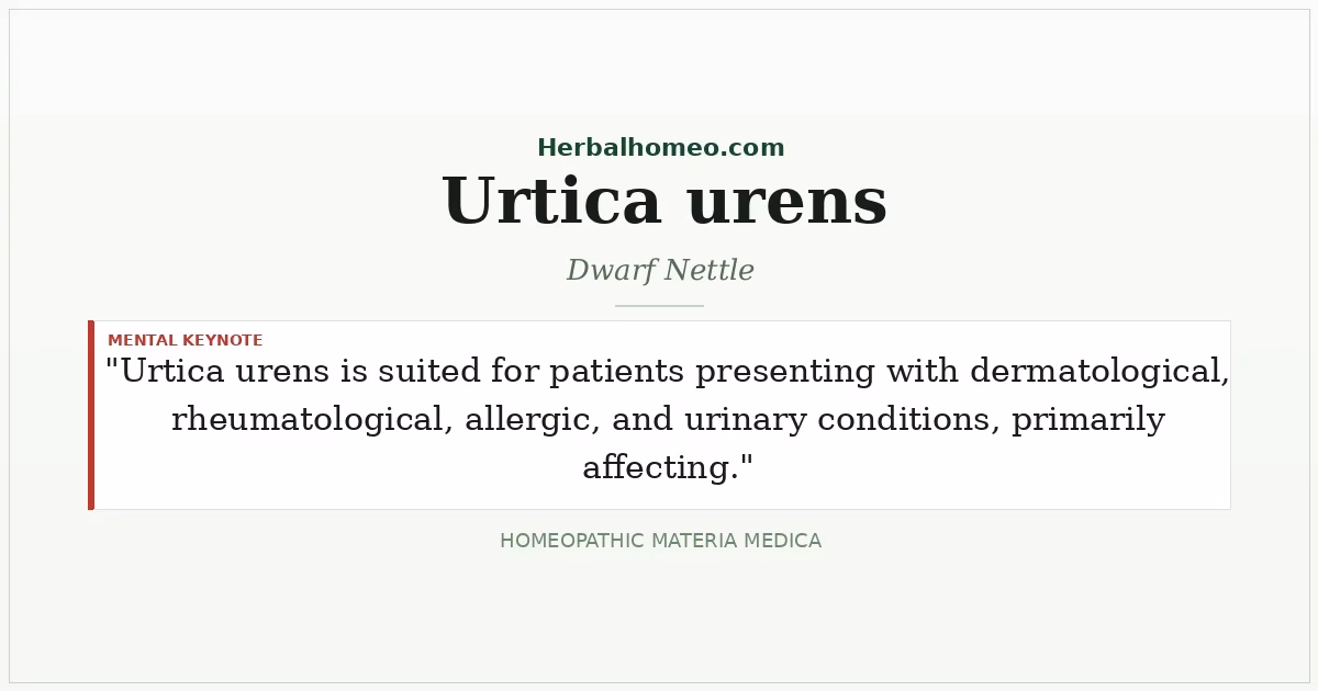 Urtica urens (Dwarf Nettle)