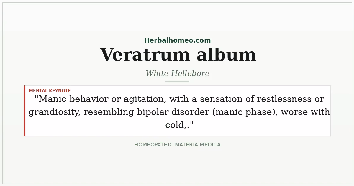 Veratrum album (White Hellebore)