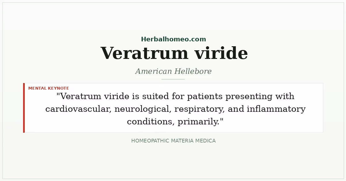 Veratrum viride (American Hellebore)